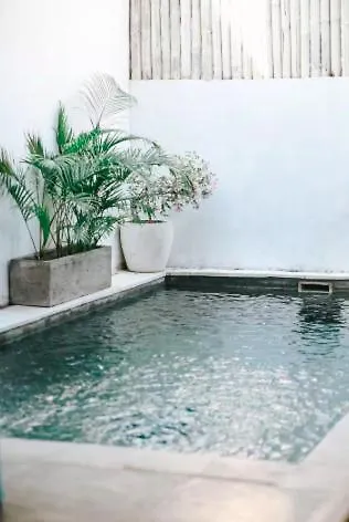 Villa Palm 5 Σεμινιάκ 0*,  Ινδονησία